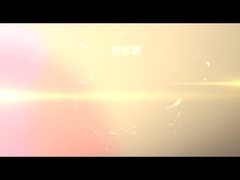 স্বয়ংক্রিয় খাওয়ানো কাঠ লগ স্প্লিটার